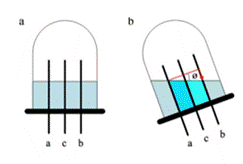 一張含有 行, 設計, 藝術 的圖片AI 產生的內容可能不正確。